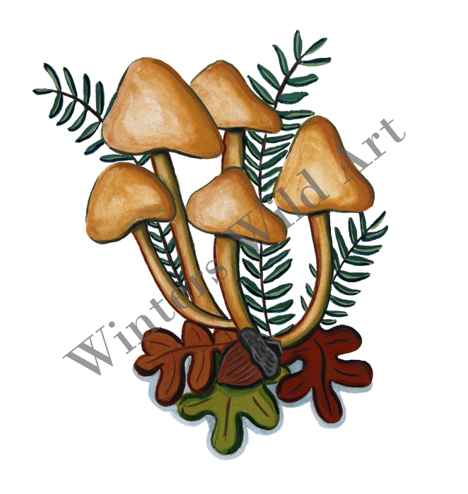 Mushroom Sticker Pack: Six Hand-Painted Die Cut Fungi Illustrations