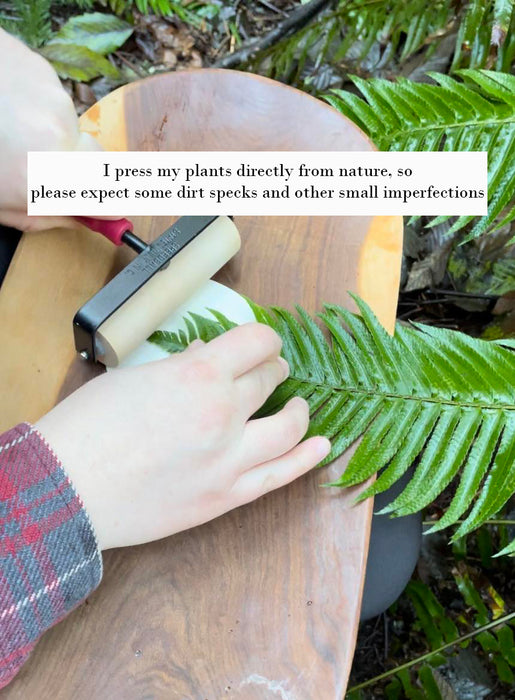 Handmade Clay Botanical Ornament Made with Real Pressed Plants, Red Alder