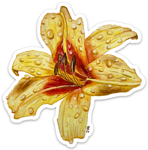 Watercolor Botanical Lily Die Cut Sticker