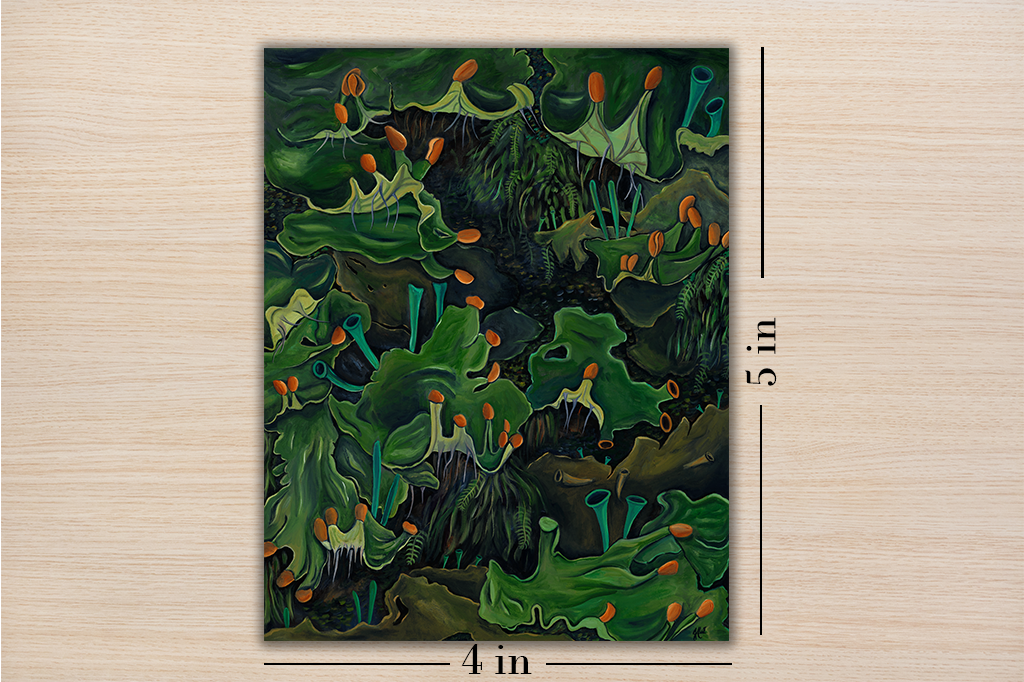 Frog Pelt Lichen Botanical Illustration Mini Print 4x5