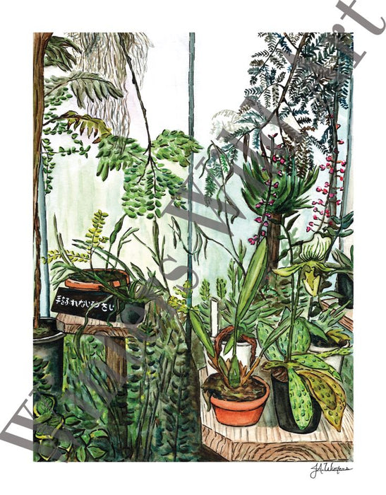 Japanese Greenhouse Plants Art Print