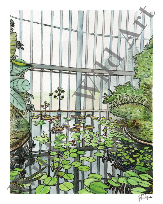 Japanese Greenhouse Window Art Print Botanical Watercolor Illustration