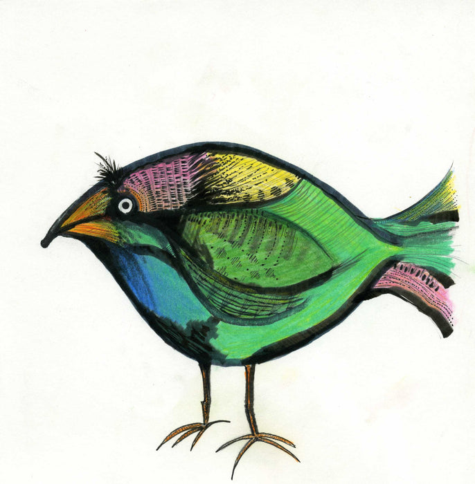 Bird print