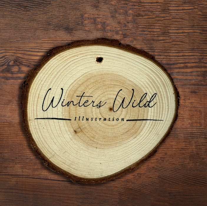 Hand-Painted Snail Wood Slice Ornament