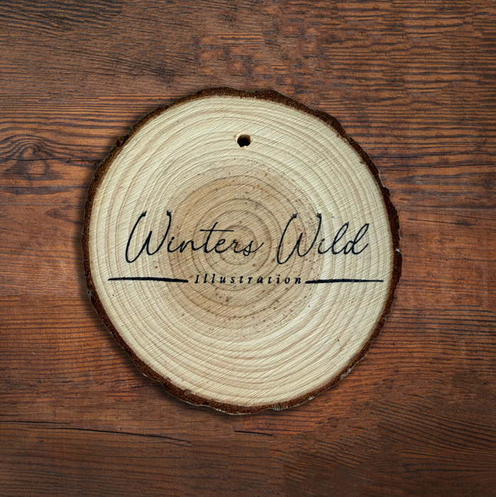 Woodland Spider Hand-Painted Wood Slice Ornament