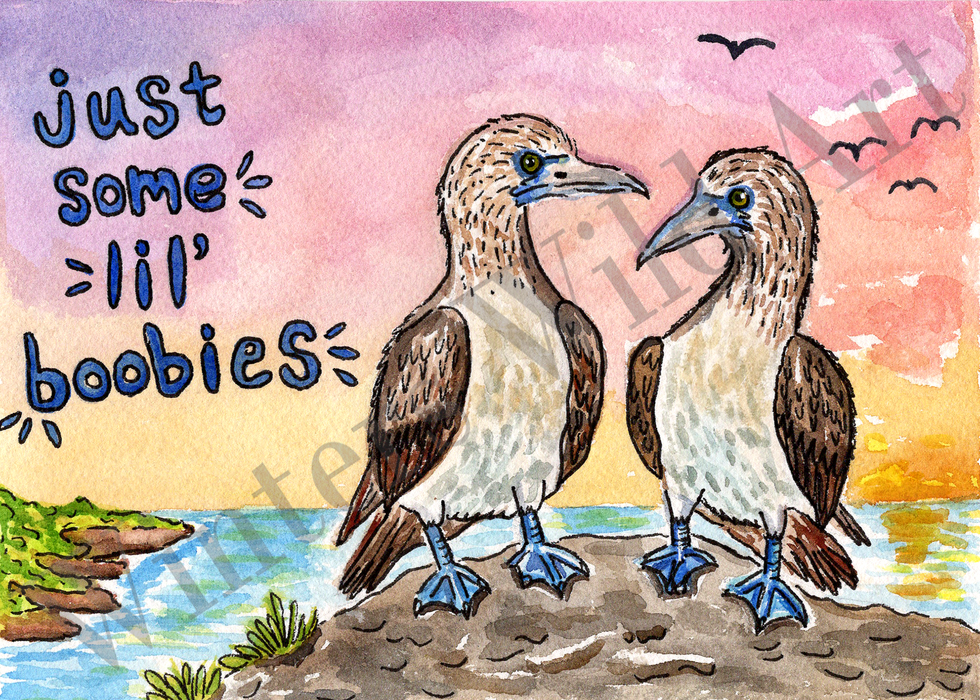 Blue-Footed Booby Greeting Card 5x7, Blank Inside
