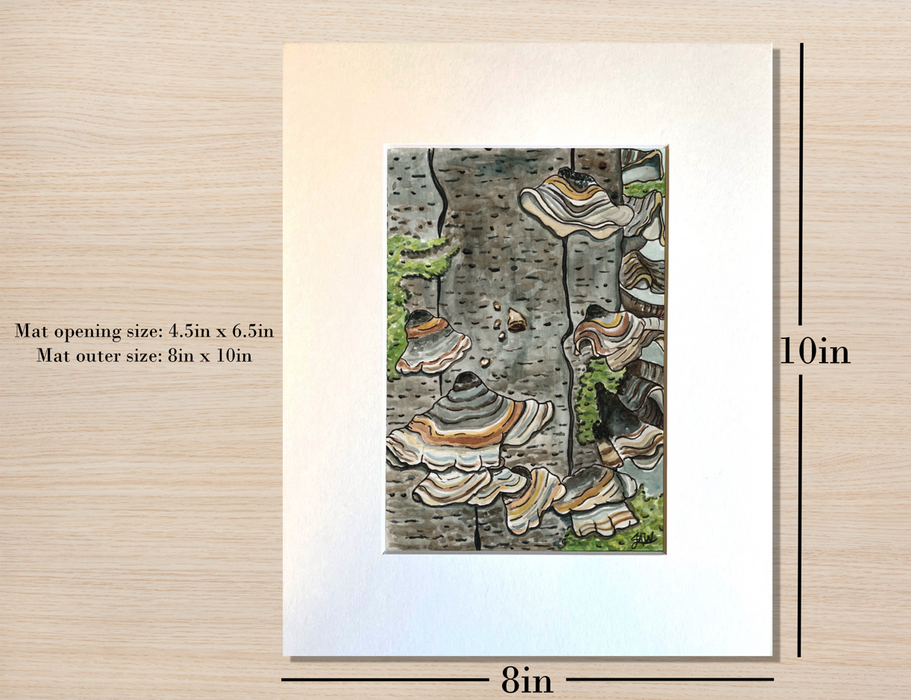 Original Watercolor Turkey Tail Mushroom Illustration, 8x10 Matted Painting, Botanical Watercolor
