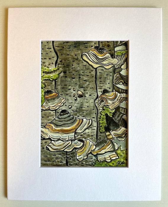 Original Watercolor Turkey Tail Mushroom Illustration, 8x10 Matted Painting, Botanical Watercolor