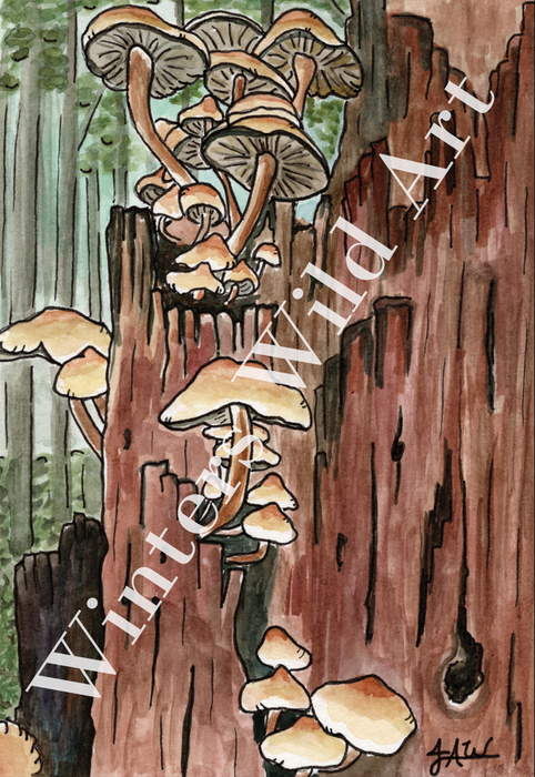 Original Watercolor Mushroom Log Illustration, 8x10 Matted Painting, Botanical Watercolor