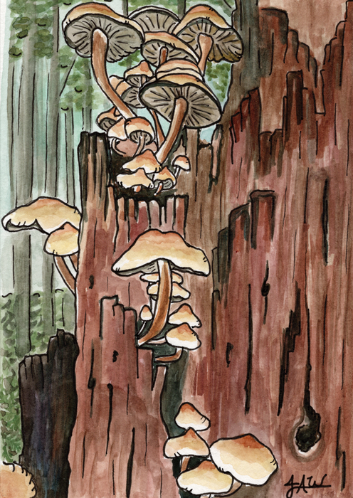 Original Watercolor Mushroom Log Illustration, 8x10 Matted Painting, Botanical Watercolor