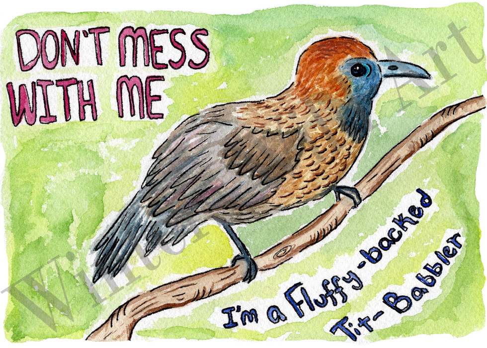 Fluffy-Backed Babbler Magnet – Bird Lover Magnet, Quirky Nature Humor