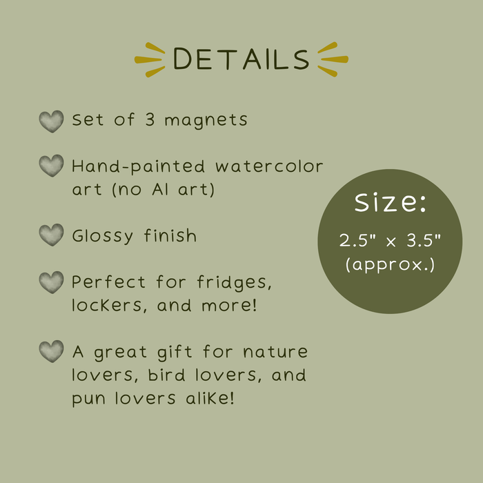 Funny Bird Magnets Set of 3 – Hand-Painted Watercolor Fridge Magnets, Bird Lover Gift, Animal Magnets