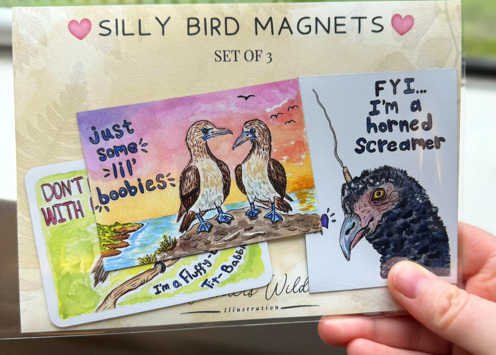 Funny Bird Magnets Set of 3 – Hand-Painted Watercolor Fridge Magnets, Bird Lover Gift, Animal Magnets
