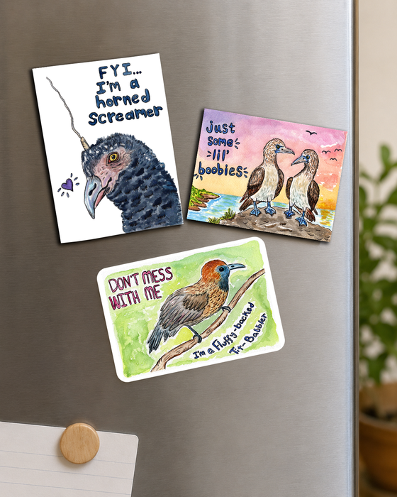 Funny Bird Magnets Set of 3 – Hand-Painted Watercolor Fridge Magnets, Bird Lover Gift, Animal Magnets