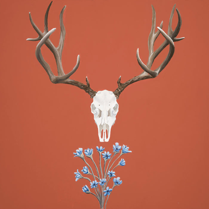 Deer skull on terracotta