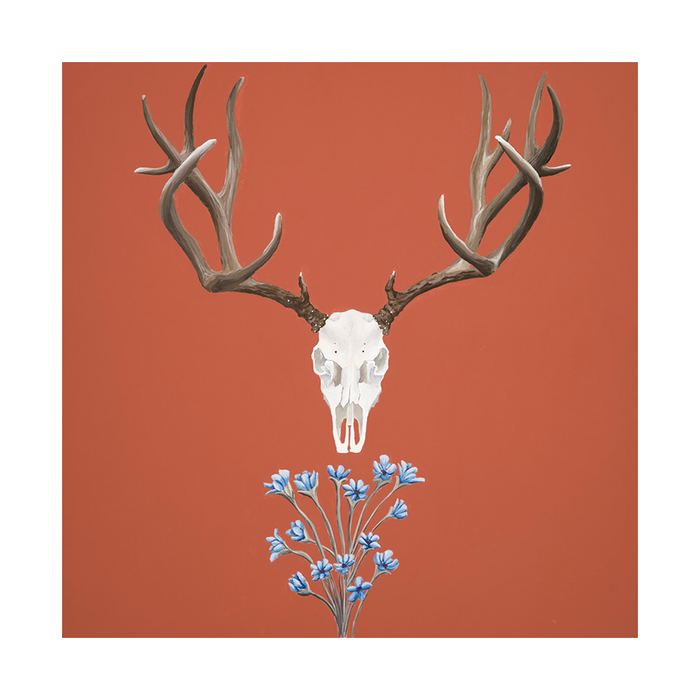 Deer skull on terracotta