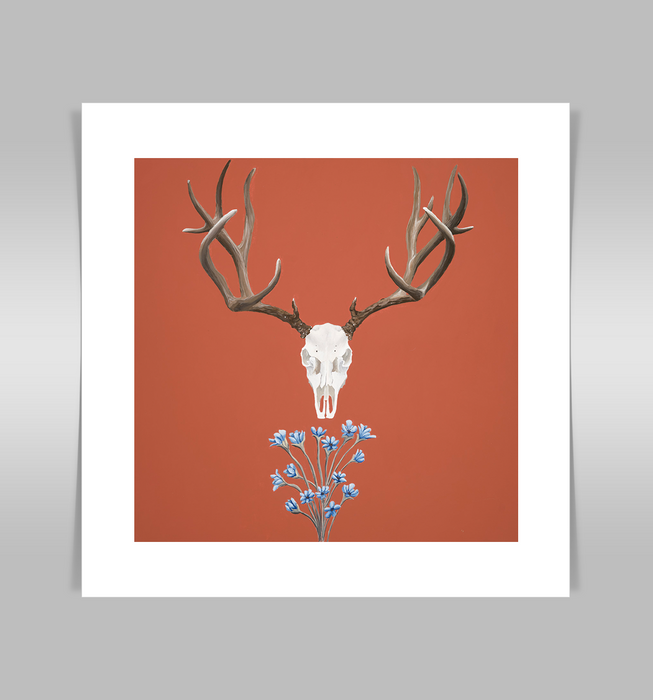 Deer skull on terracotta