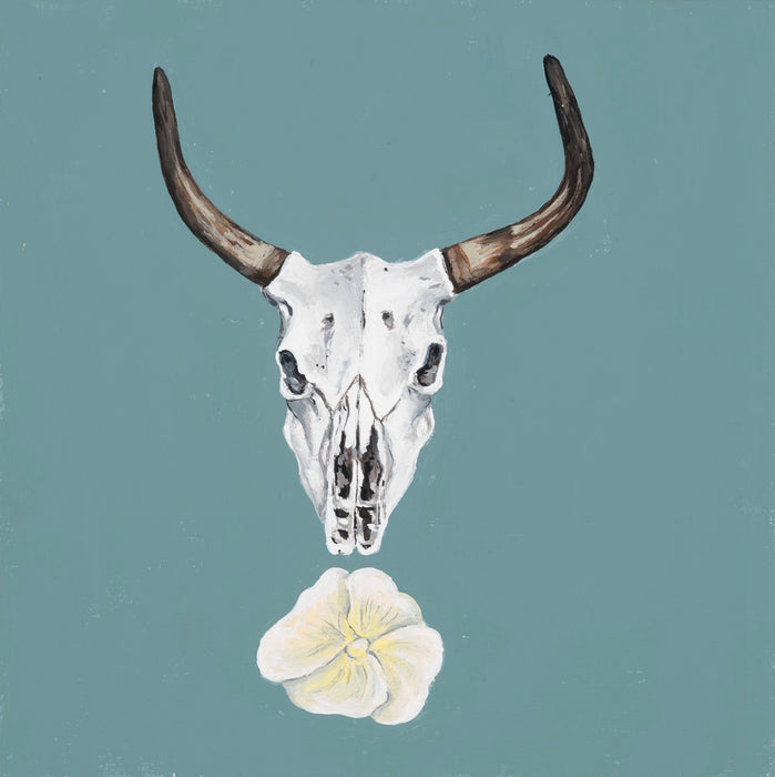 Bull skull on turquoise