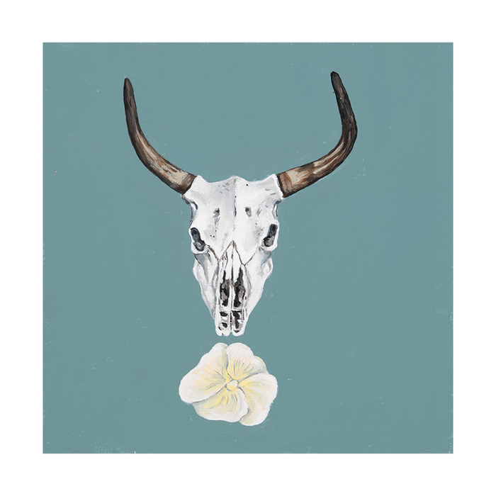 Bull skull on turquoise
