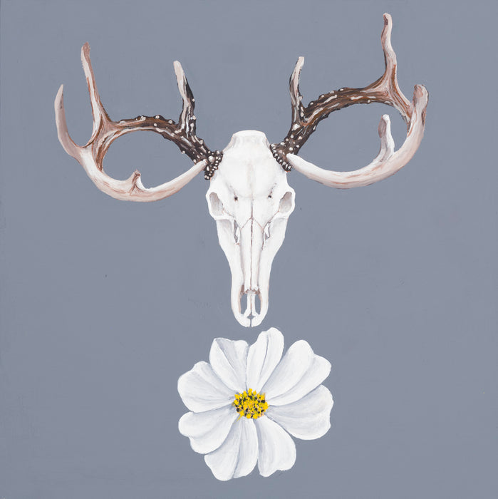 Deer skull on slate blue