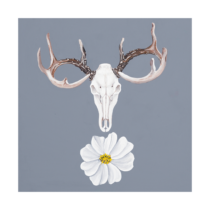 Deer skull on slate blue