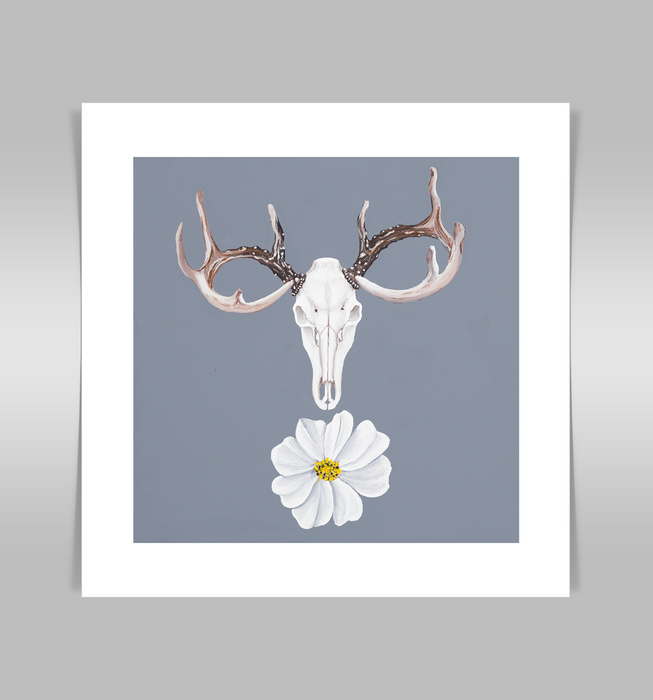 Deer skull on slate blue