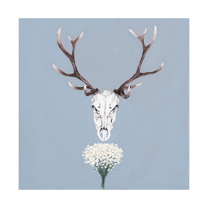Deer skull on cloud blue