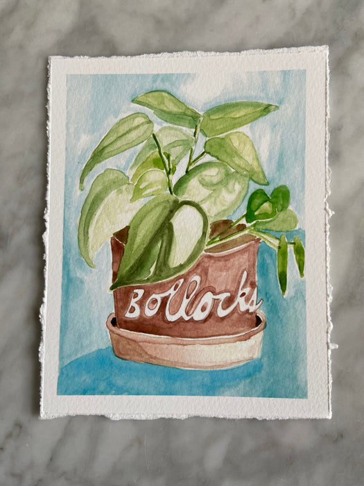 Bollocks Plant Print
