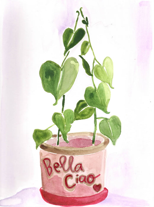 Bello Ciao Plant Baby