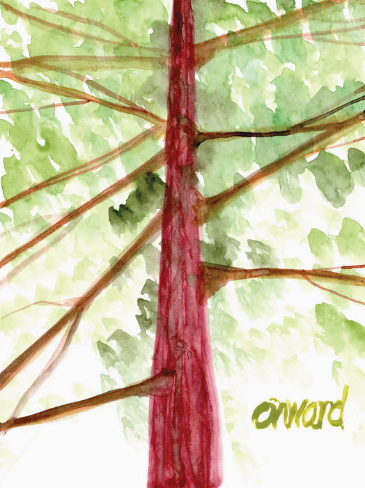 Onward Douglas Fir Print