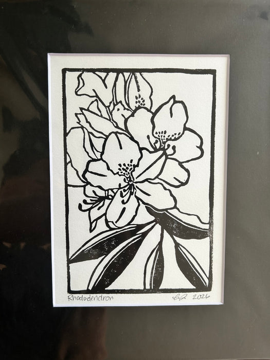 Rhododendron