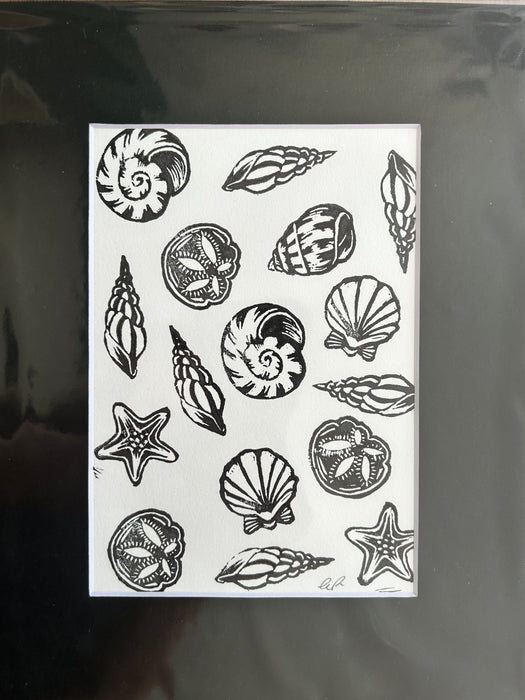 Sea Shells 1