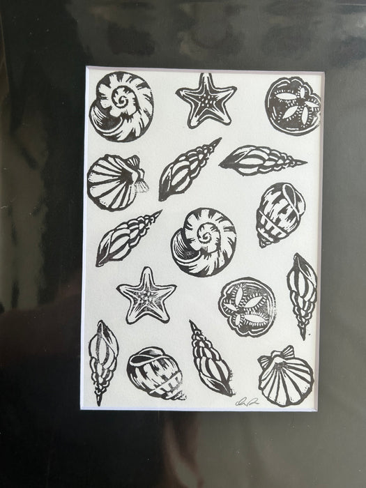 Sea Shells 2