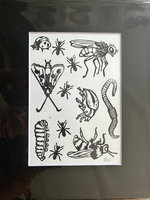 Bugs 1