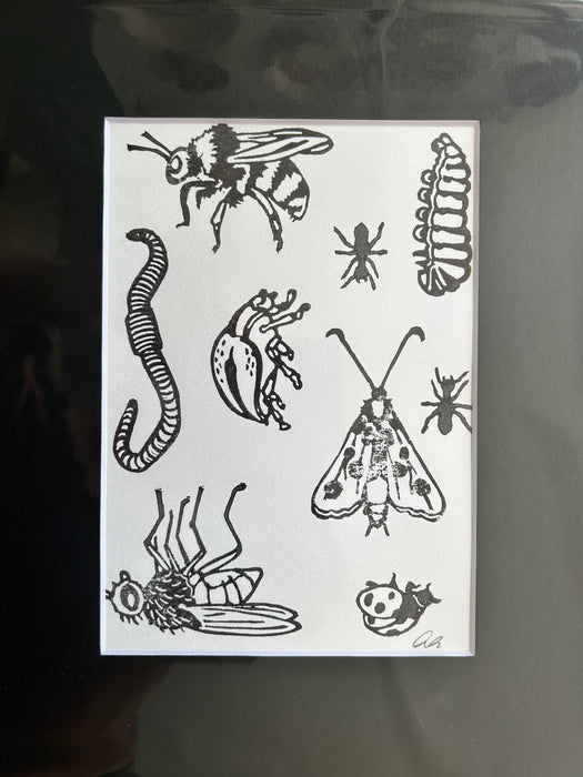 Bugs 2