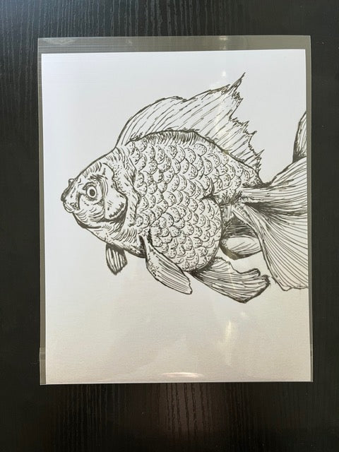 Fish Sketch