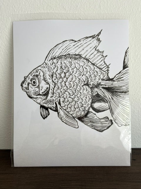 Fish Sketch