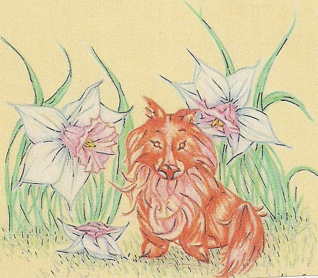 Foxy Note Cards