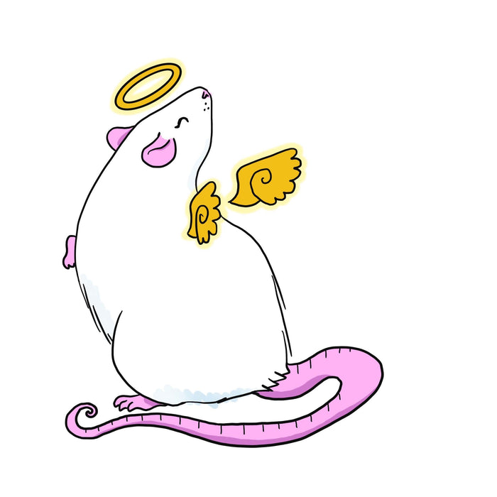 Angel Rat sticker