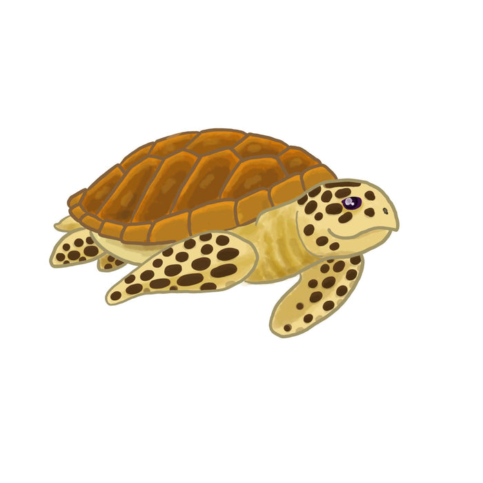 Sea Turtle sticker