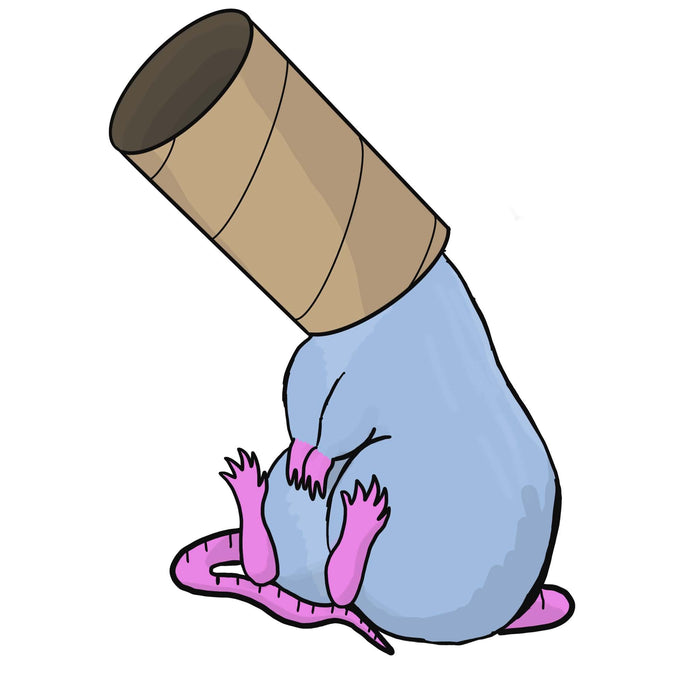 Tube Rat sticker