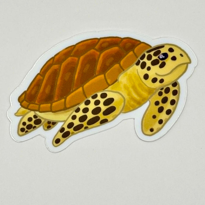 Sea Turtle sticker