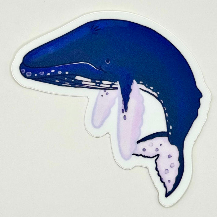 Humpback Whale sticker