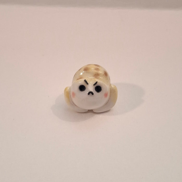 Desert Rain Frog Friend