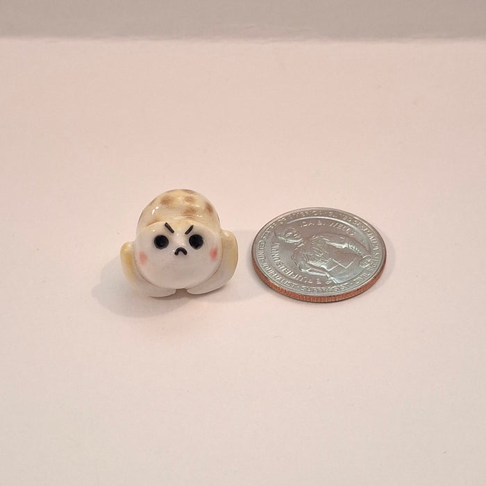 Desert Rain Frog Friend