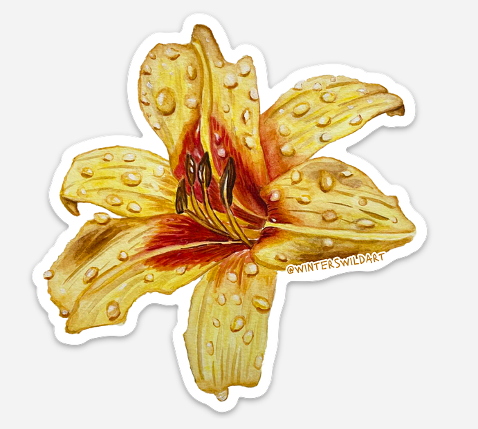 Watercolor Botanical Lily Die Cut Sticker