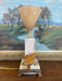 1930s French Art Deco Style Table Lamp with Molded Peach Glass Fan Shade and Bronze toned Footed Base