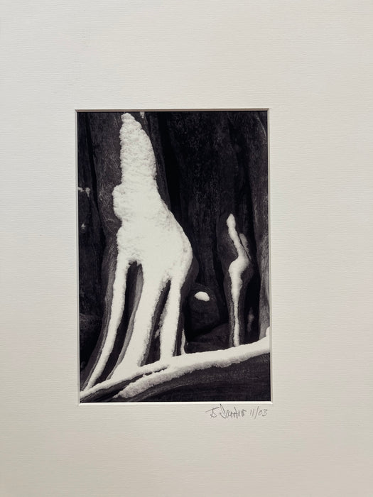 Signed Black and White Photograph "Howling Wolfe" Snow Tree Stump Illusion,
North Bend WA, Dated 2003.
