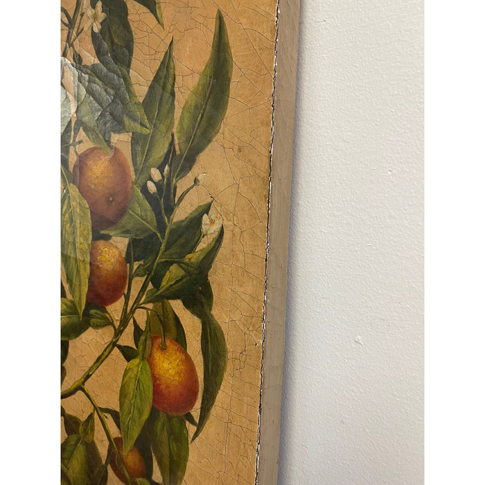 Vintage Pair of Citrus Artwork on Canvas