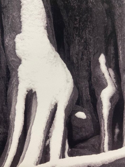 Signed Black and White Photograph "Howling Wolfe" Snow Tree Stump Illusion,
North Bend WA, Dated 2003.